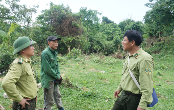 Xử phạt hành chính đối tượng chặt phá rừng trái phép ở xã Lộc Yên, Hương Khê